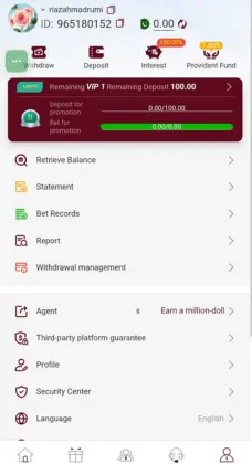 LuckPub Withdraw and Deposit